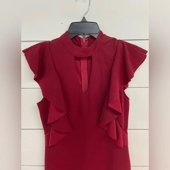 She + Sky Red Wine Dress Flair Ruffle Sleeves - Picture 3 of 7
